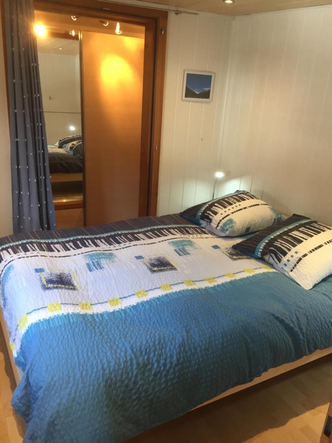 Appartement Beauchocty Evolène Екстериор снимка